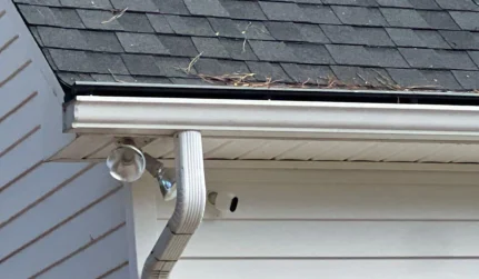 Gutter Services
